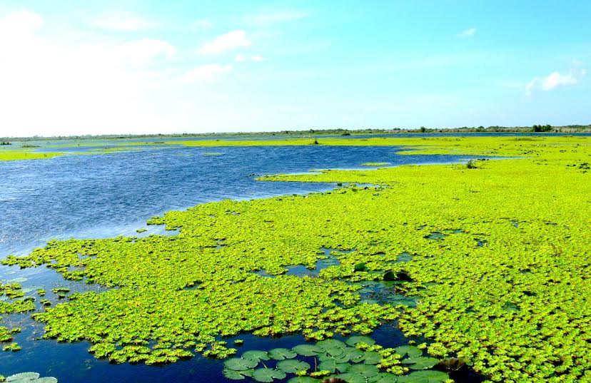 U[-]Minh[-]Thượng[-]trở[-]thành[-]Khu[-]Ramsar[-]thứ[-]2228[-]của[-]thế[-]giới